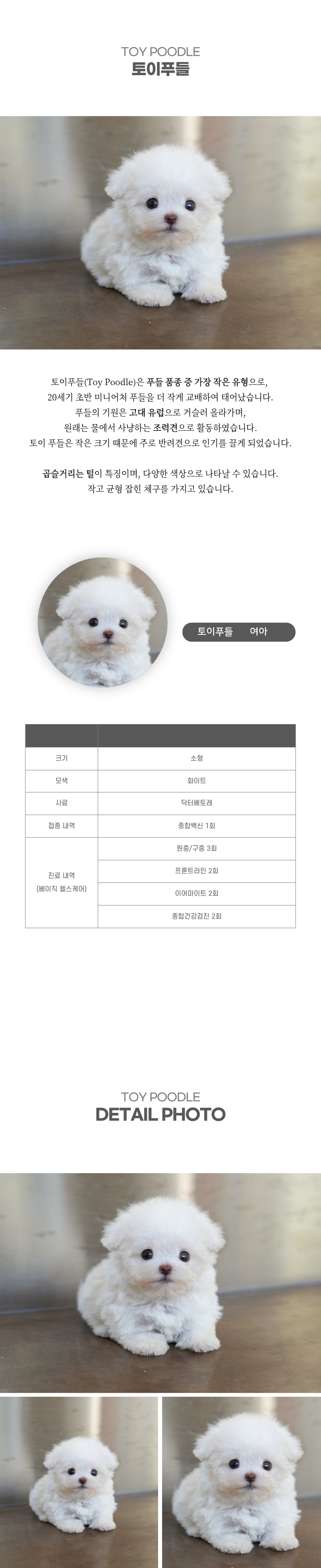 토이푸들_상세이미지_2